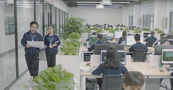 Servicios que brindamos